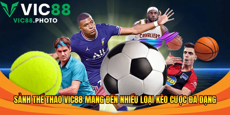 Sảnh thể thao Vic88 mang đến nhiều loại kèo cược đa dạng